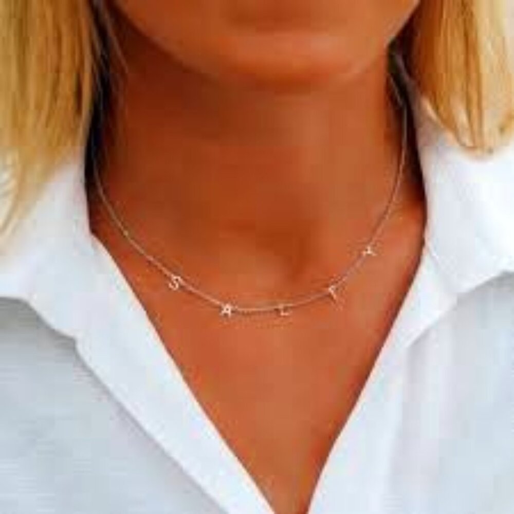 NWT - Salty Choker Necklace (silver)